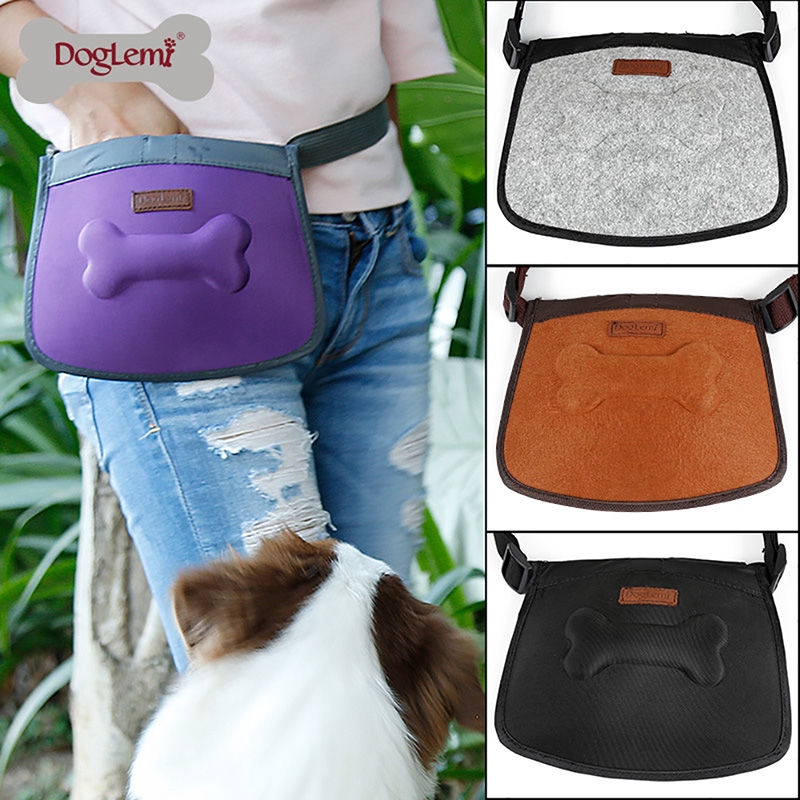 dog walking pouch