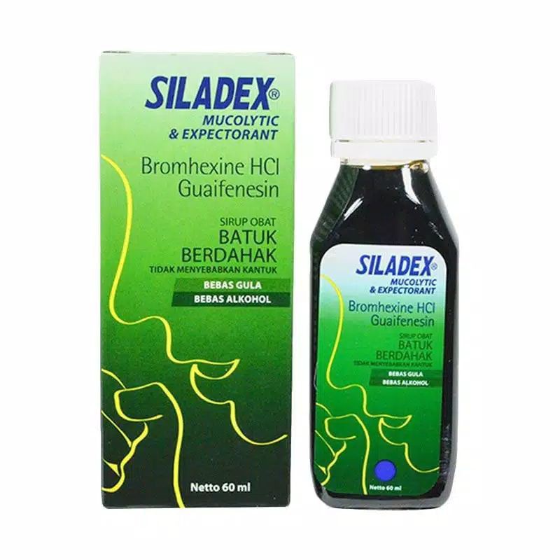 Siladex Mucolytic & Expectorant Syrup 100 ml Shopee Philippines