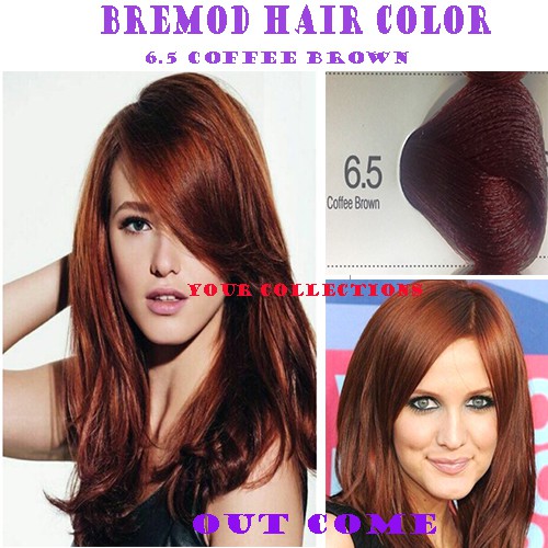 Authentic Bremod Performance Spa Hair Color 100ml | Shopee Philippines