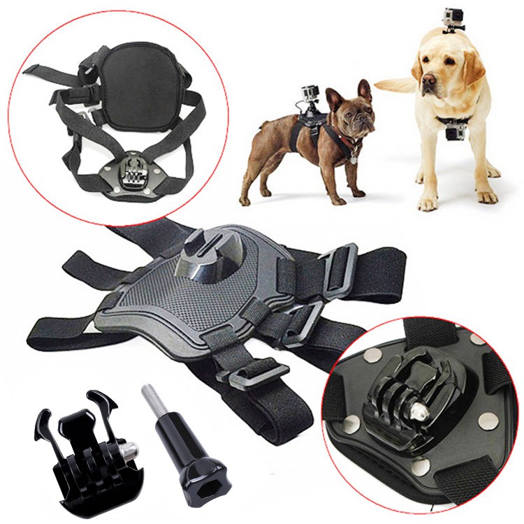 shoulder strap dog leash