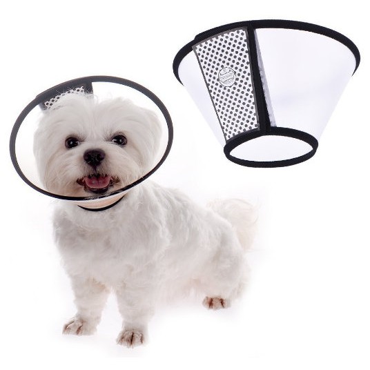 dog cone collar