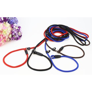 2021 Hot Item High Quality Round Nylon Rope Slip Dog Walking and Training Leash for Dogs and Cats #4