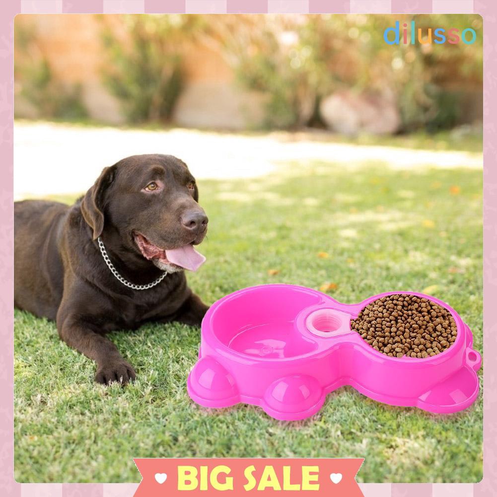 safe dog food bowls