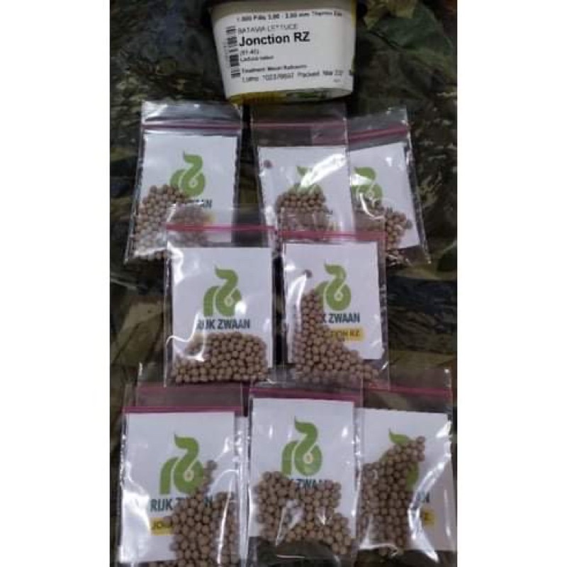 Jonction Lettuce Rijk Zwaan Repacked100 Seeds Shopee Philippines 0373