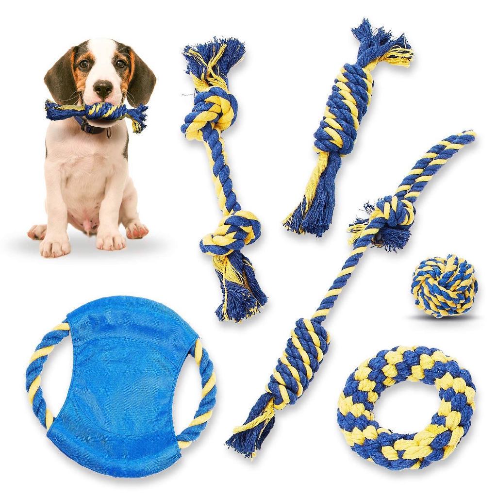 the dog toys