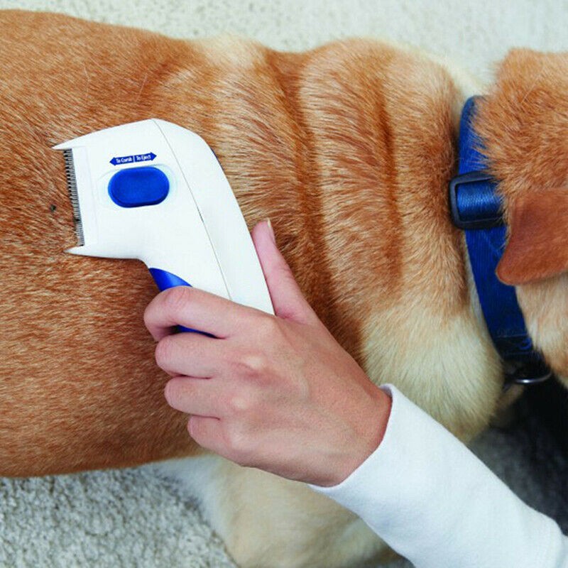 electric flea & tick comb for cats dogs