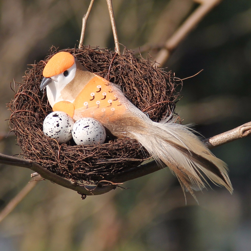 Bird nest - Wikipedia