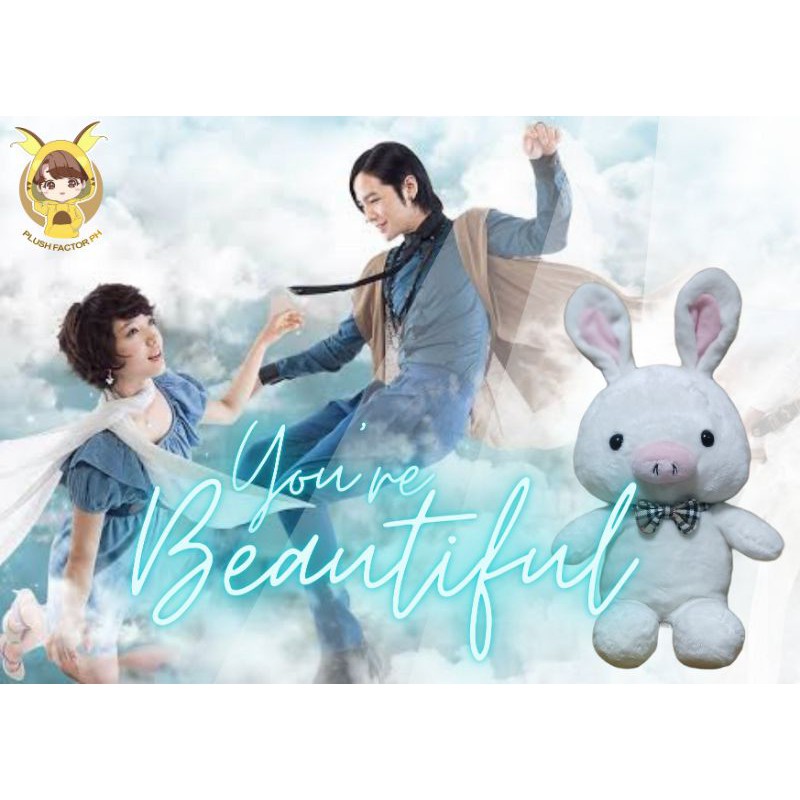 Pig Rabbit Doll From The Korean Drama Series You Re Beautiful Shopee Philippines