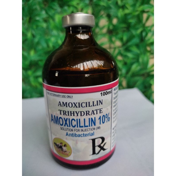 VETRON | AMOXICILLIN TRIHYDRATE_100 ML AMOX 10% | Shopee Philippines