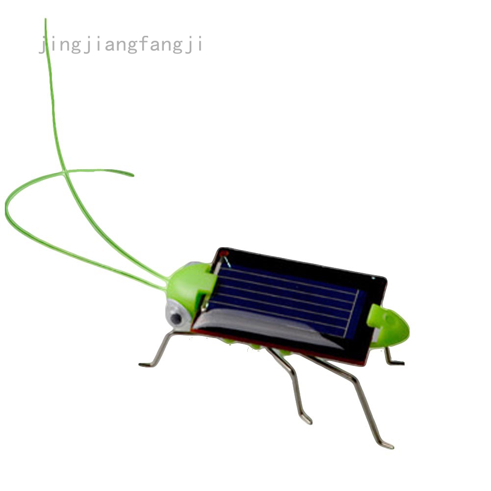 robot bug toy