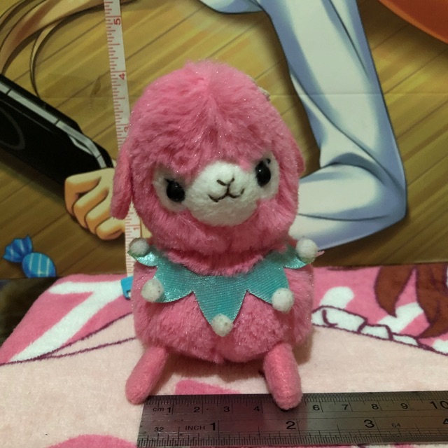 baby alpacasso