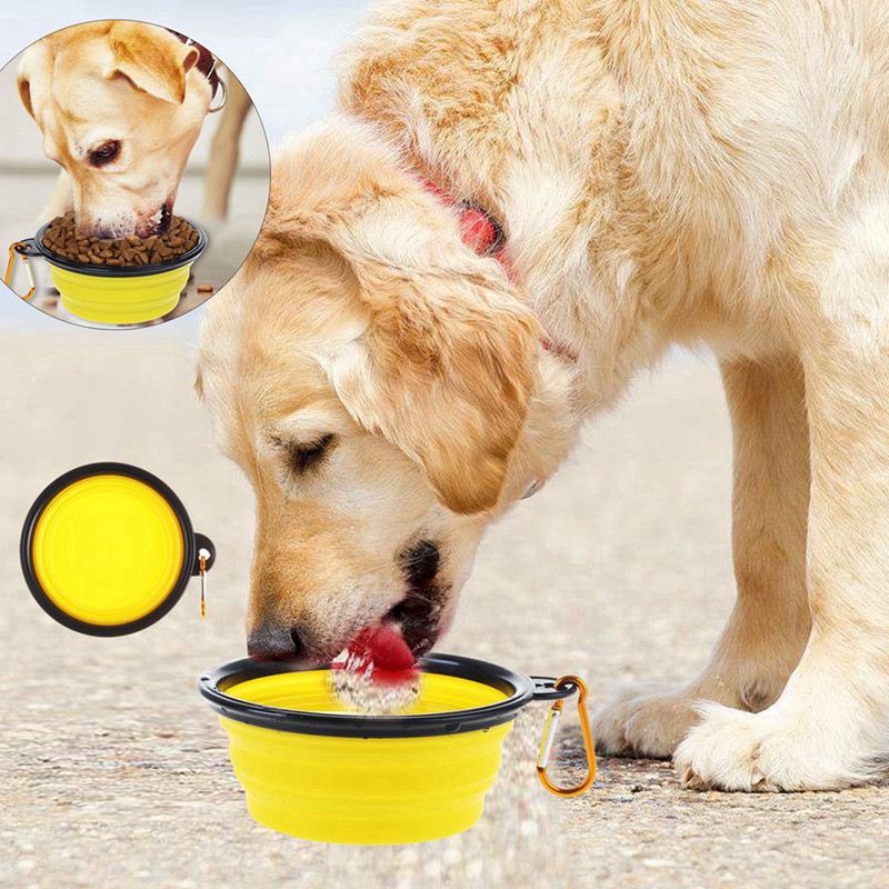 2 in 1 dog bowl