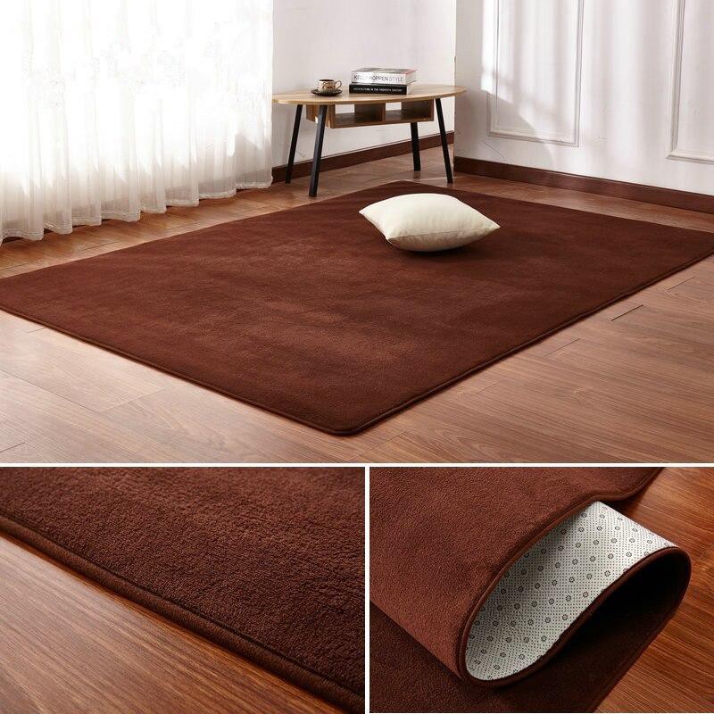 3 Colors Coral Velvet Carpet Solid Color Area Rugs Bedroom Living Room