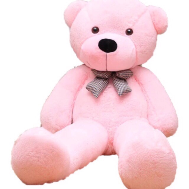 tedy bear pink