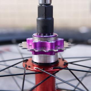 single speed freewheel hub