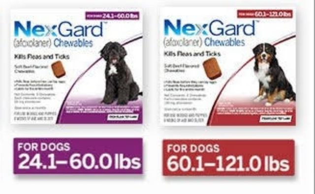 nexgard 100 lbs