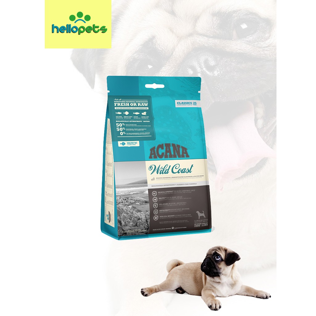 wild coast raw cat food