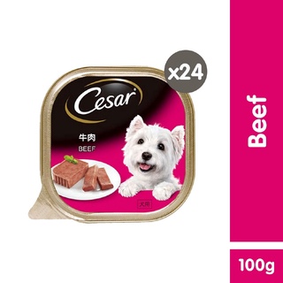 CESAR Wet Dog Food - Premium Dog Food in Beef Flavor (24-Pack), 100g.