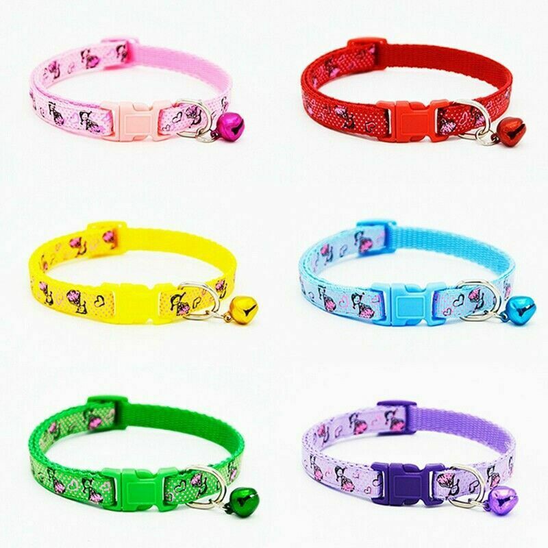 cute girl dog collars