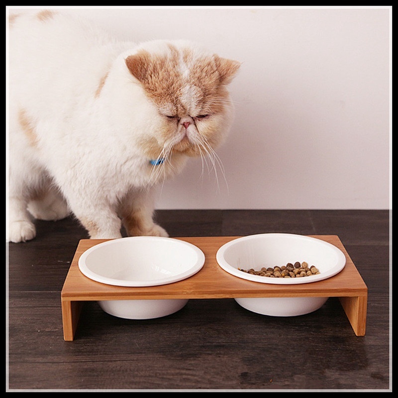 ceramic dog bowls with stand