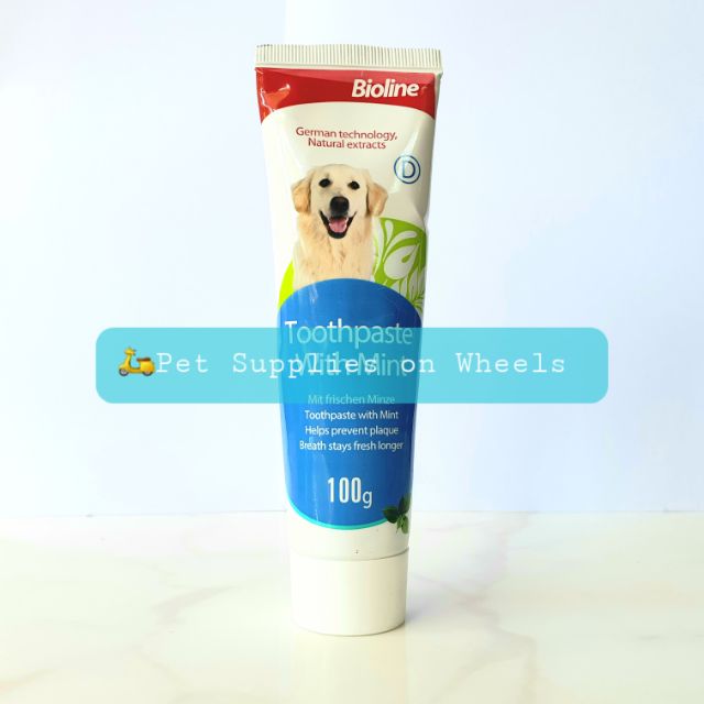 what is a safe toothpaste for dogs