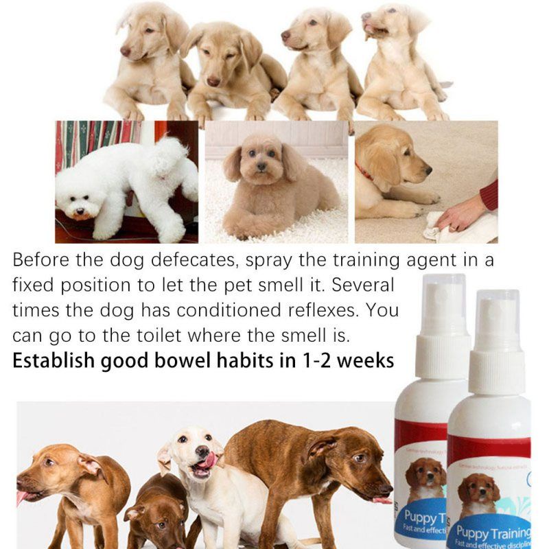 Puppy Trainer Spray 50ml