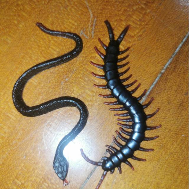 Miniature Snake Worms Centipede Legs Centipede prank toy Rubber | Shopee  Philippines
