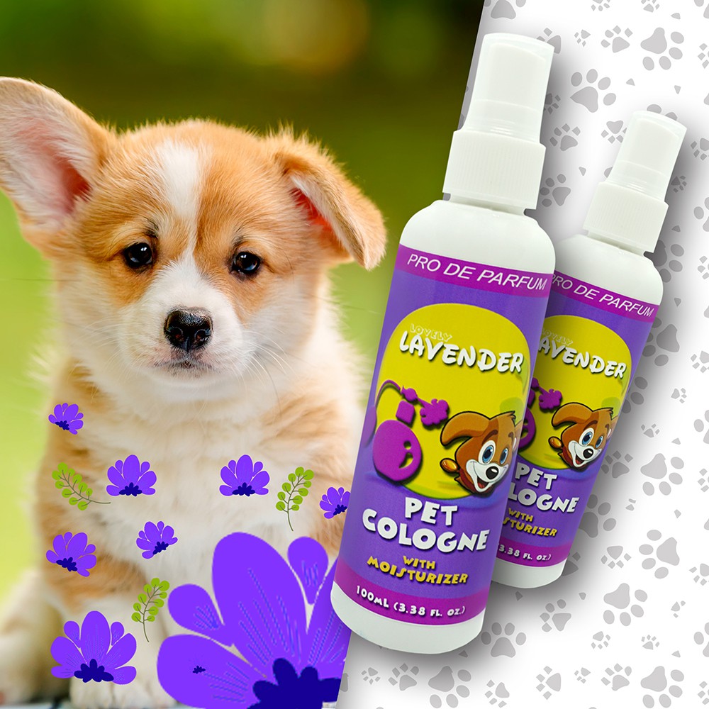 Pet Cologne with Moisturizer for Dogs and Cats (Lavender) Shopee