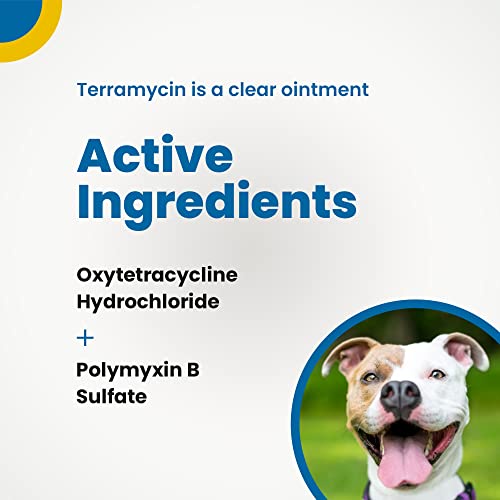 Terramycin Antibiotic Ointment for Eye Infection Treatment in Dogs, Cats, Cattle, Horses, and Sheep, #2