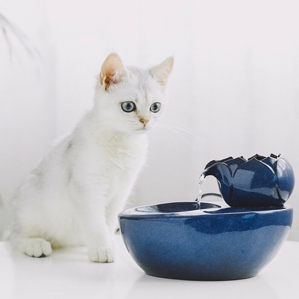 ceramic pet water dispenser
