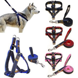 chain dog harnesses for large dogs