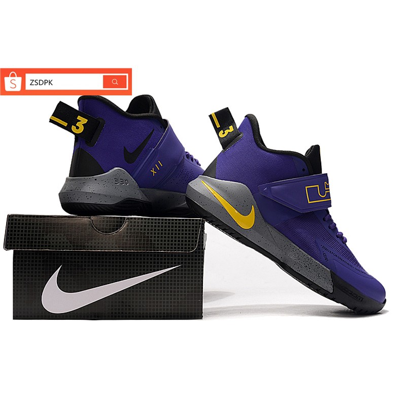 lebron 12 ambassador