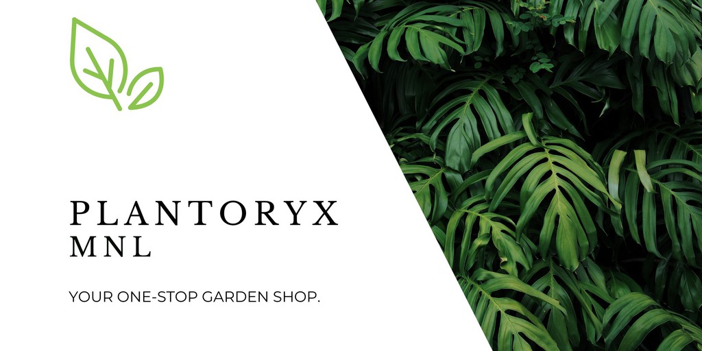 Potpourri Designs, Online Shop Shopee Philippines