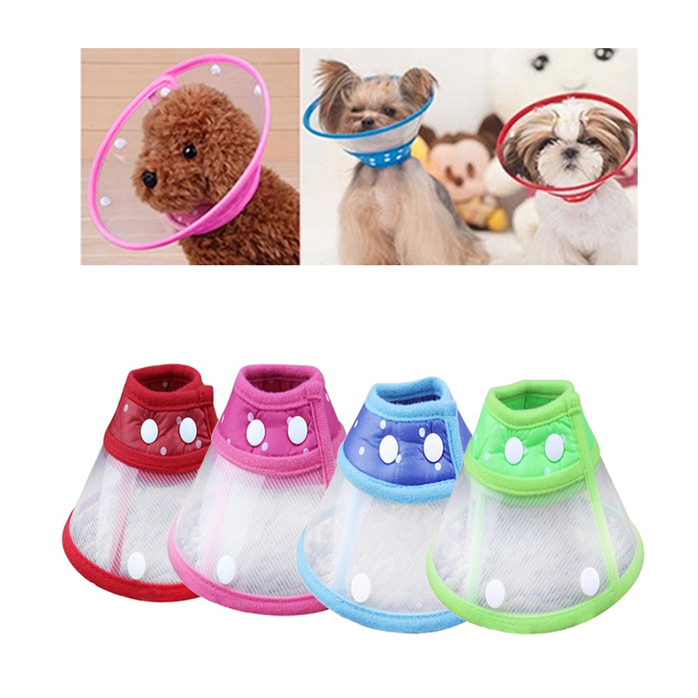 comfy cone pet recovery collar