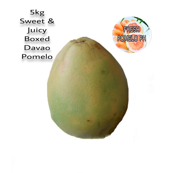 5kg Sweet & Juicy Boxed Davao Pomelo Shopee Philippines