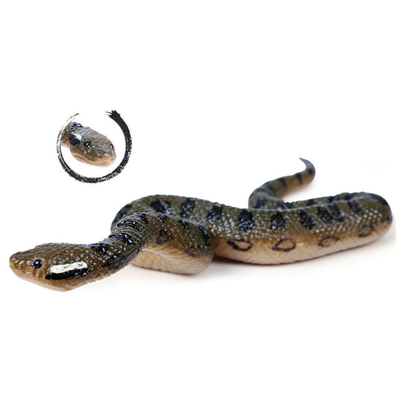 anaconda toy