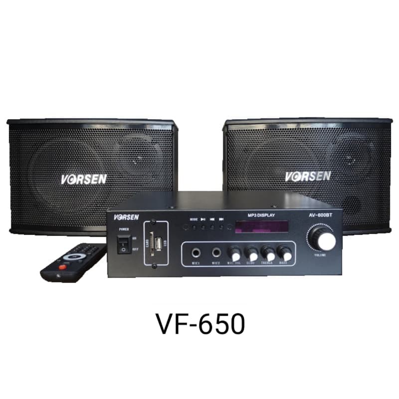 amplifier speaker system