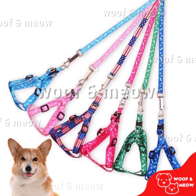 Nylon Printed Dog Leash with Harness #1