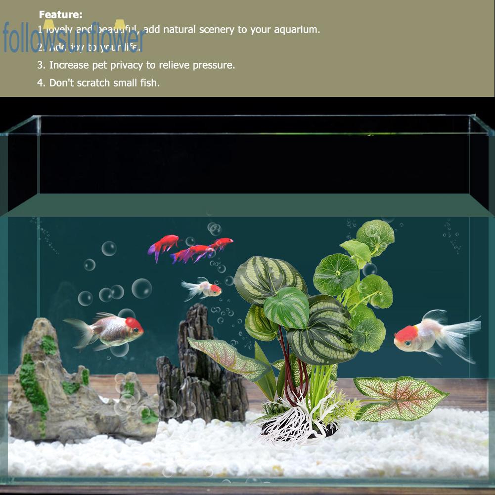 fish tank and accessories for sale