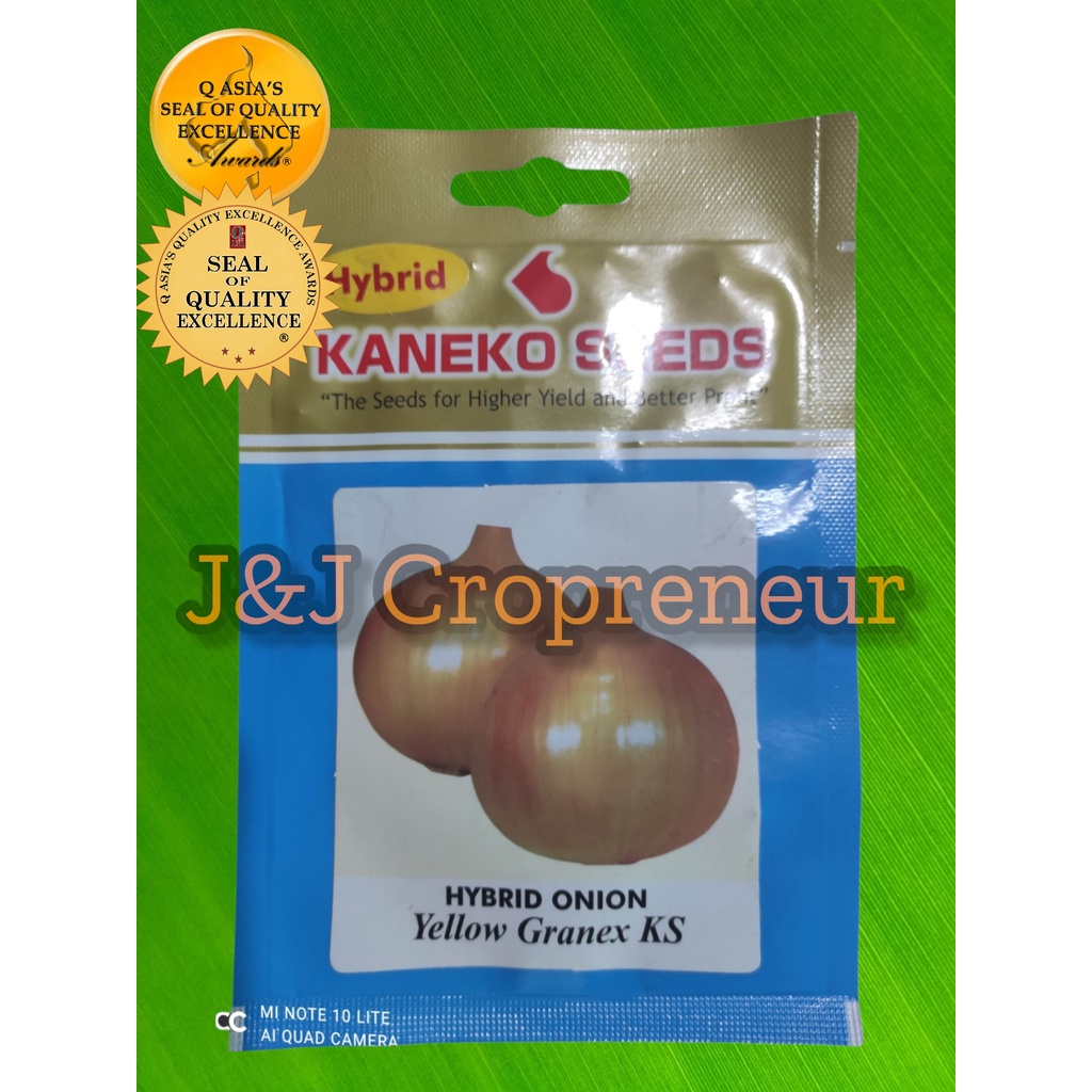ONION YELLOW GRANEX (300 SEEDS) BY KANEKO SEEDS Shopee Philippines