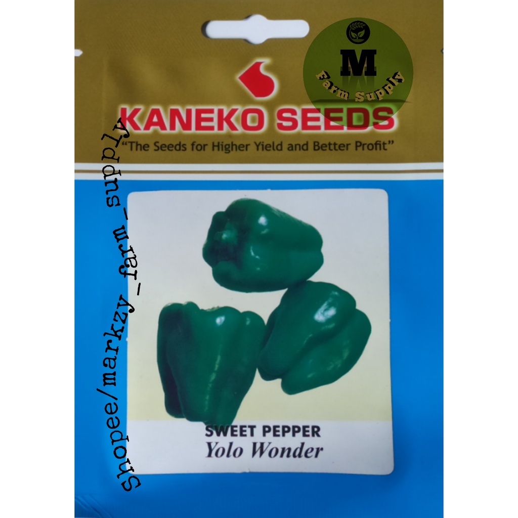 Sweet Pepper Yolo Wonder Kaneko High Quality Seeds Shopee Philippines