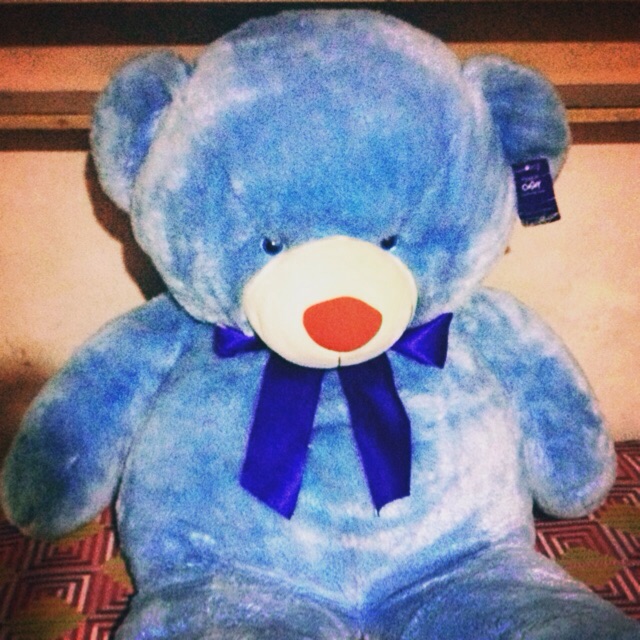 blue magic price teddy bear