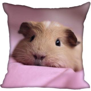 guinea pig home decor