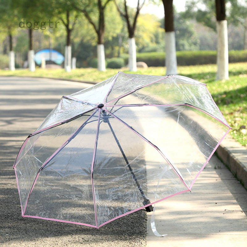 clear umbrella in stores