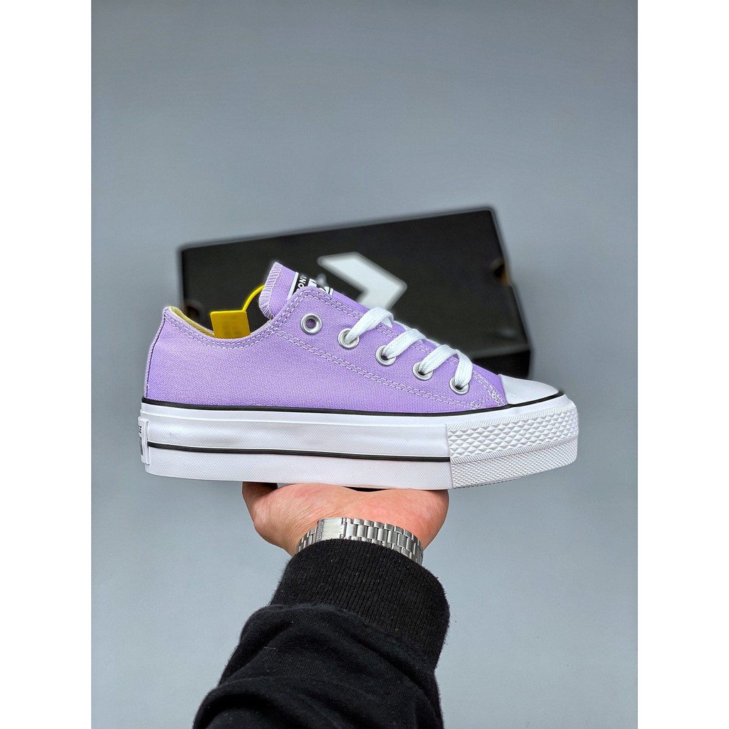 Taro Purple Canvas Shoes 