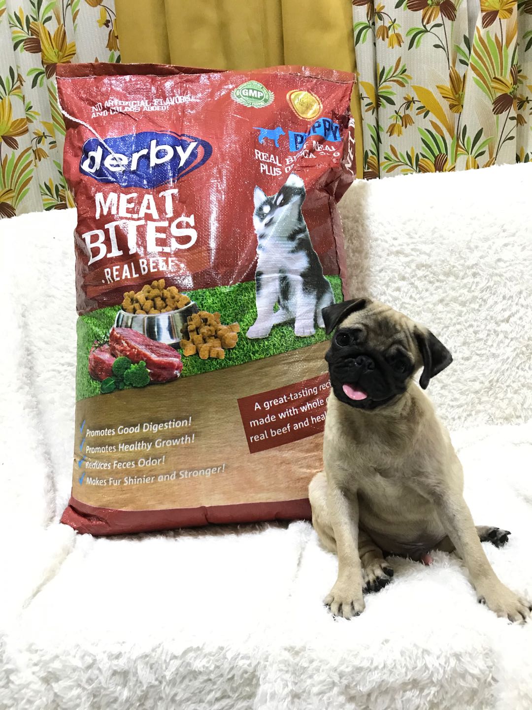 Derby Dog Food Adult Puppy 20kg Sack Original Package Shopee Philippines