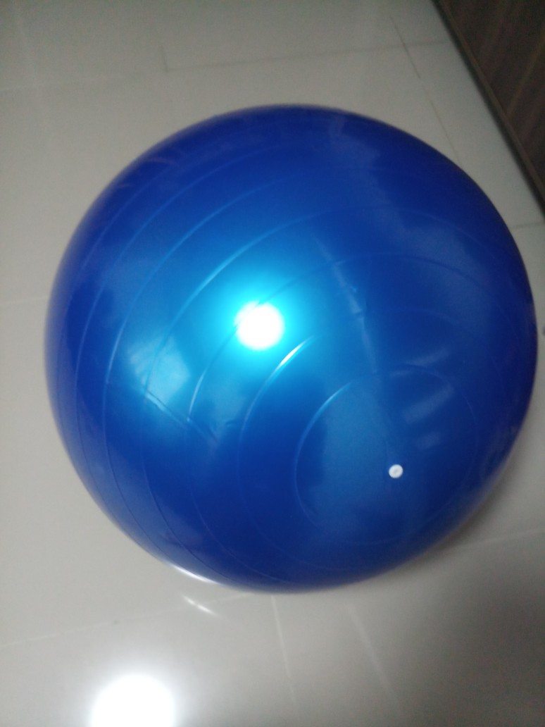 the loop stability ball holder