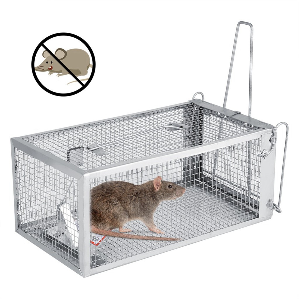 live rat traps