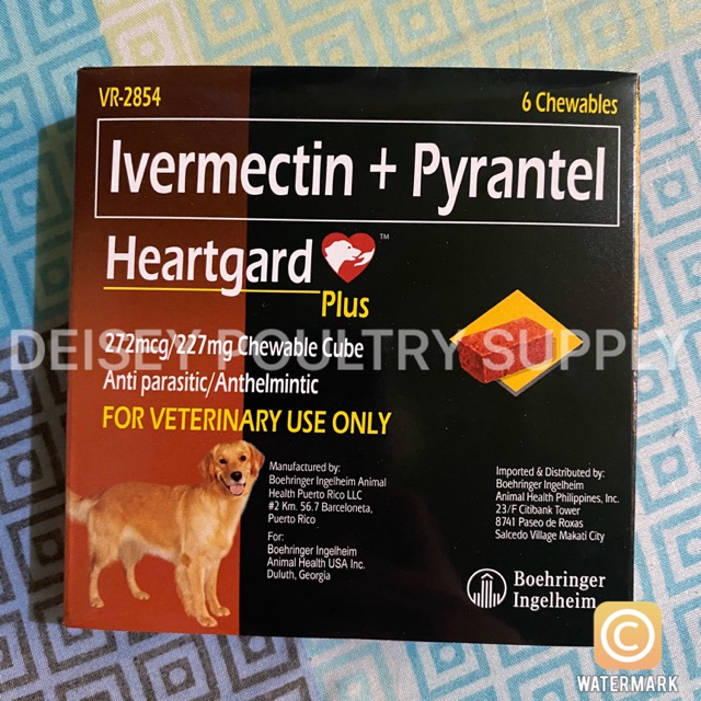 Heartgard Plus (Ivermectin & Pyrantel) for Dogs | Shopee ...