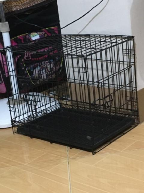 20 x 10 dog kennel